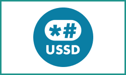 ussd logo